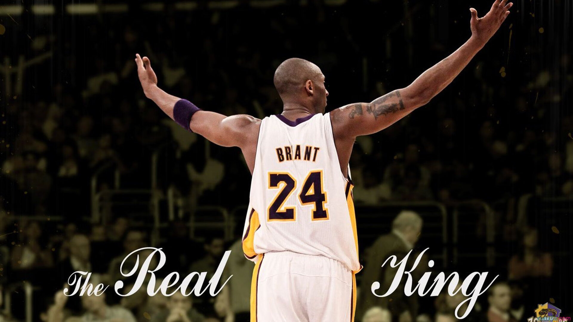 _全球联动：多国选手同时线上竞技，创新赛制_，全球邀请赛