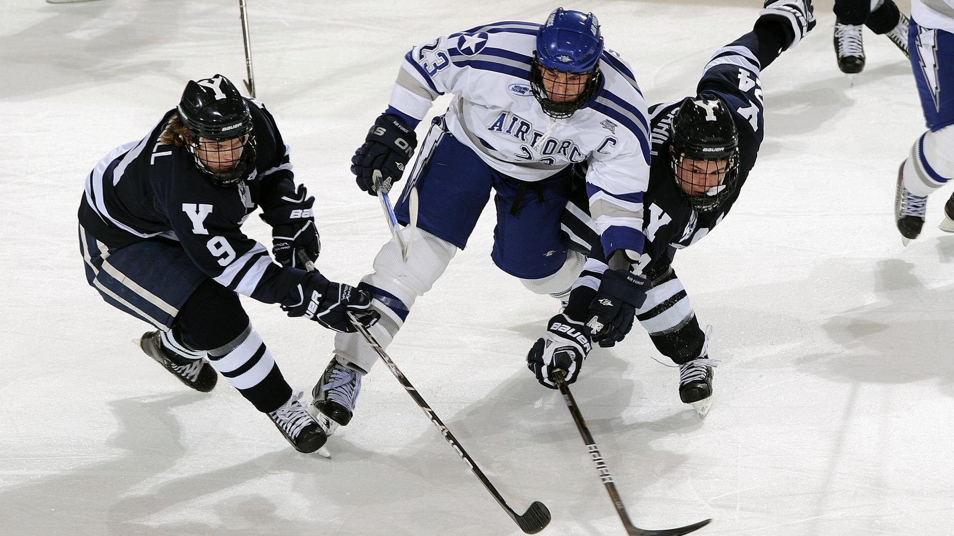 “赛季“白热化”！多场激烈对决争夺最佳战绩”，白热化的秋季赛