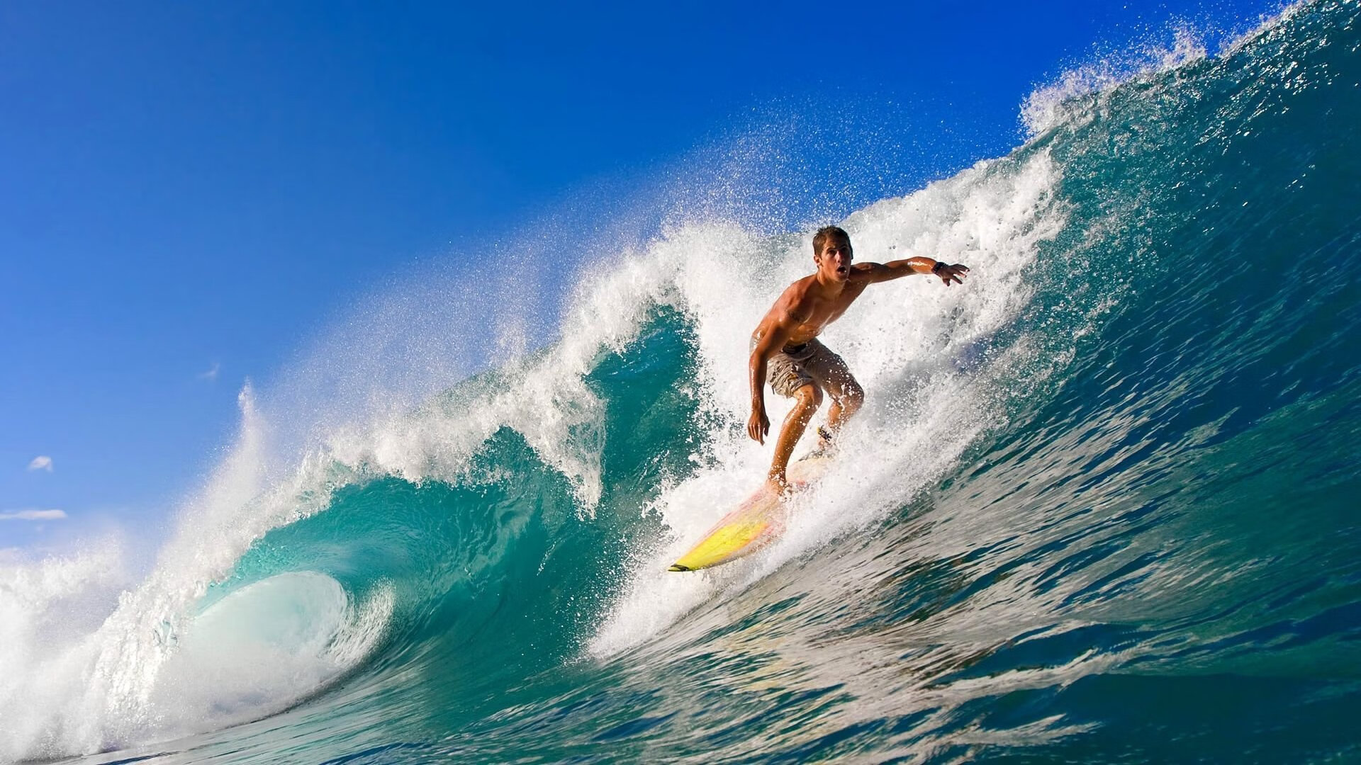 开云下载-史上最年轻“冠军射手”夺冠瞬间！，最年轻的射箭冠军