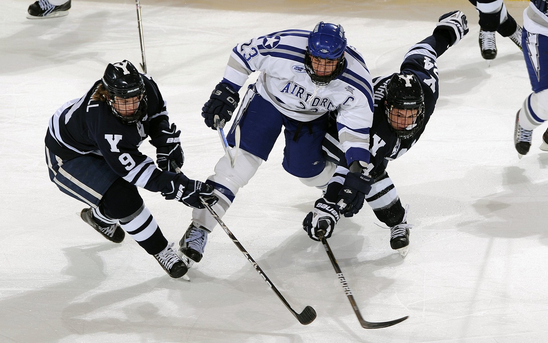 特色青训人才“引进+培养”双轨实施，行业创新生态不断完善，特色型人才培养主题活动的个人体会